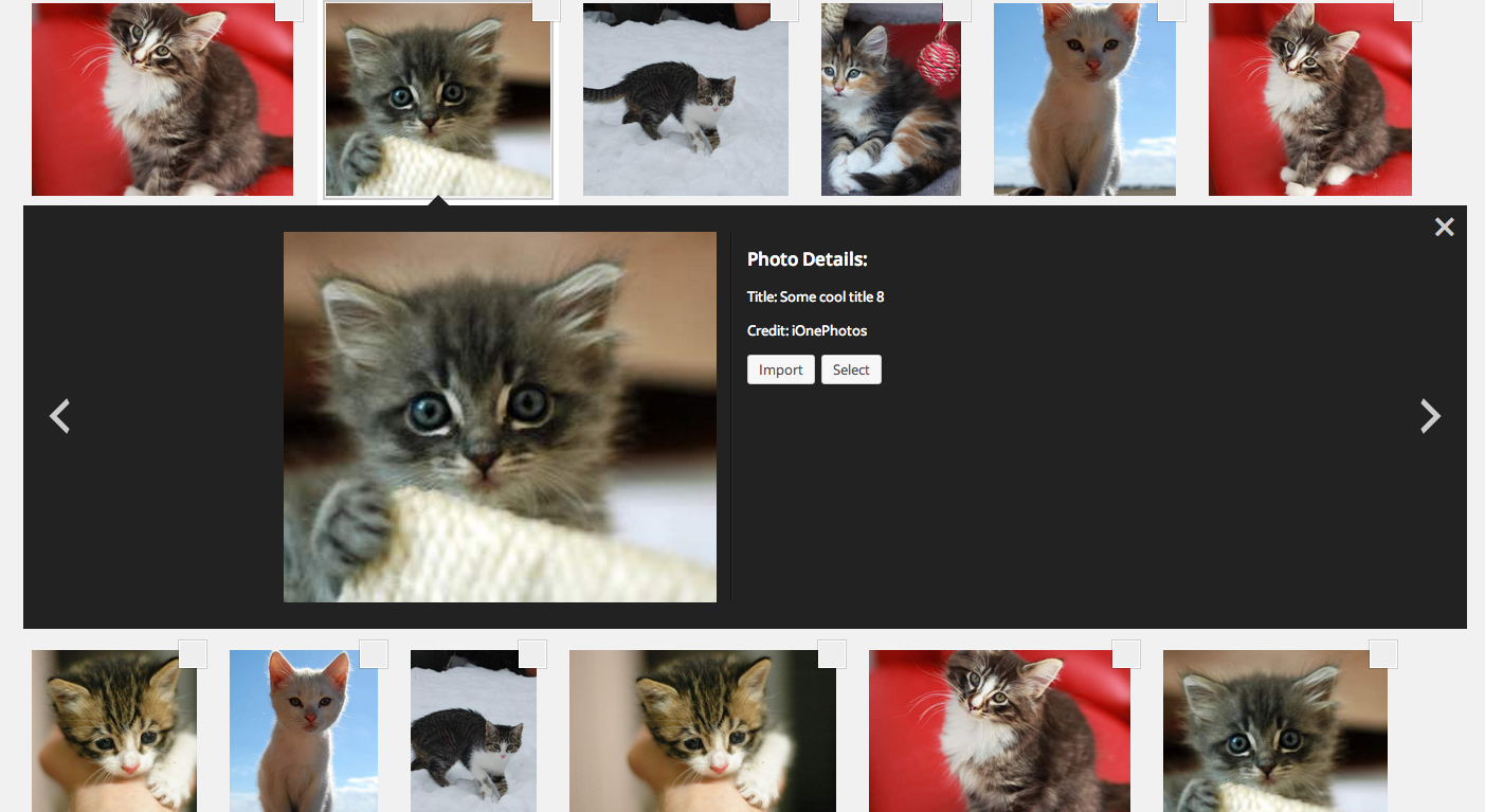 Use jQuery to center element in viewport